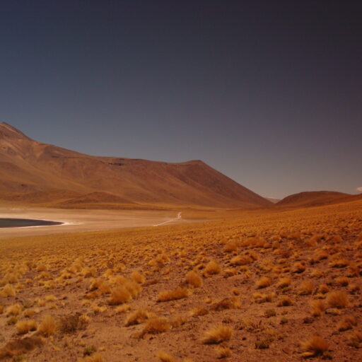 norte de Chile